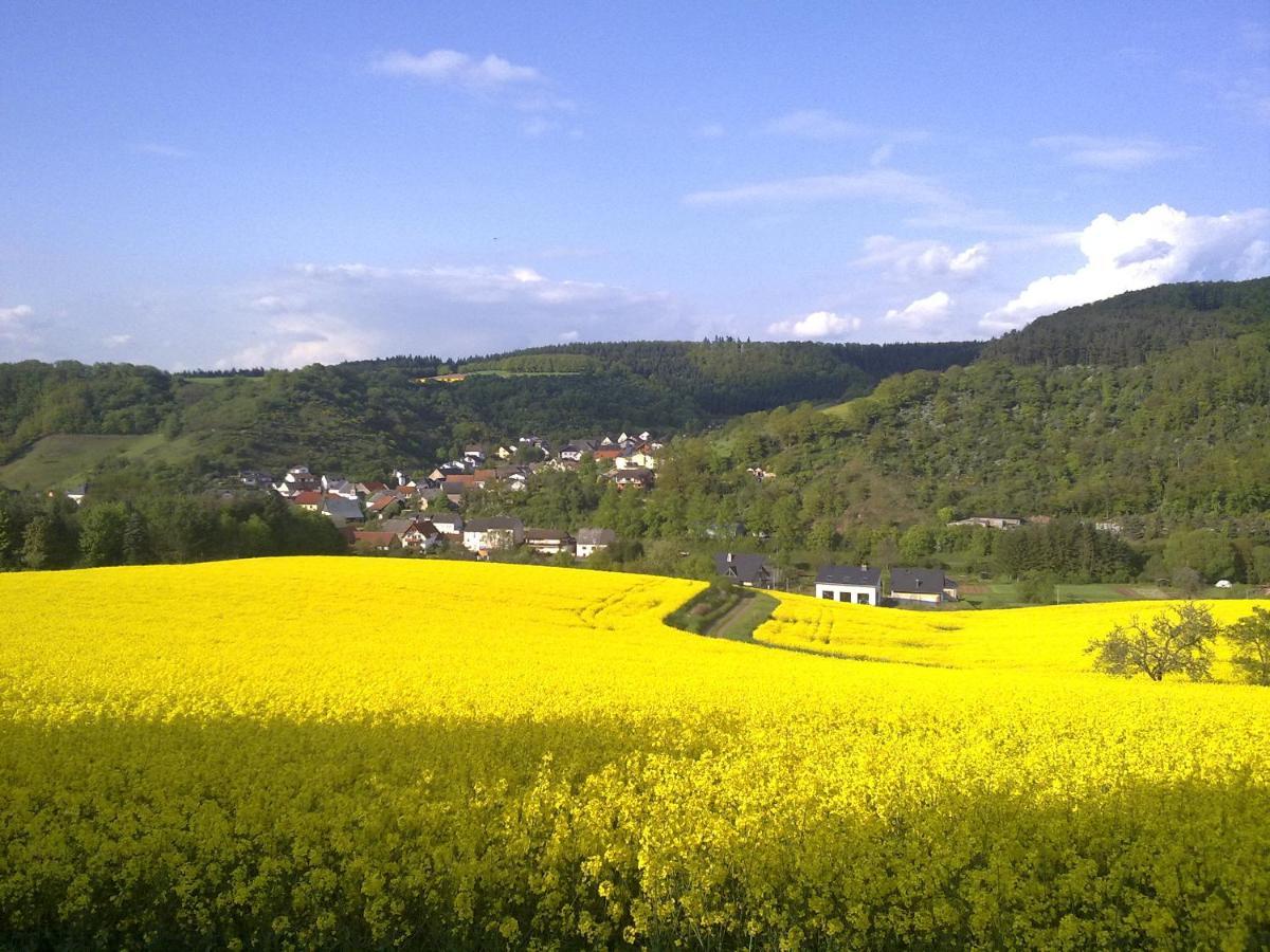 Ferienwohnungen Traumblick im Nahetal Bärenbach Exterior foto