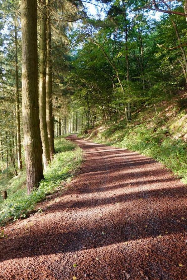 Ferienwohnungen Traumblick im Nahetal Bärenbach Exterior foto